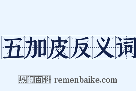 五加皮反义词是什么意思的图片